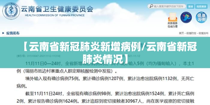 【云南省新冠肺炎新增病例/云南省新冠肺炎情况】