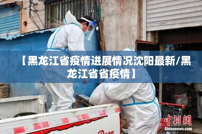 【黑龙江省疫情进展情况沈阳最新/黑龙江省省疫情】
