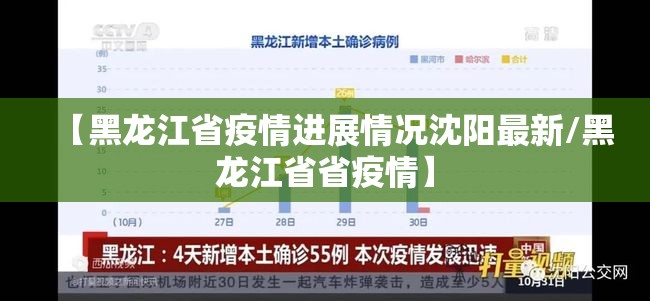 【黑龙江省疫情进展情况沈阳最新/黑龙江省省疫情】