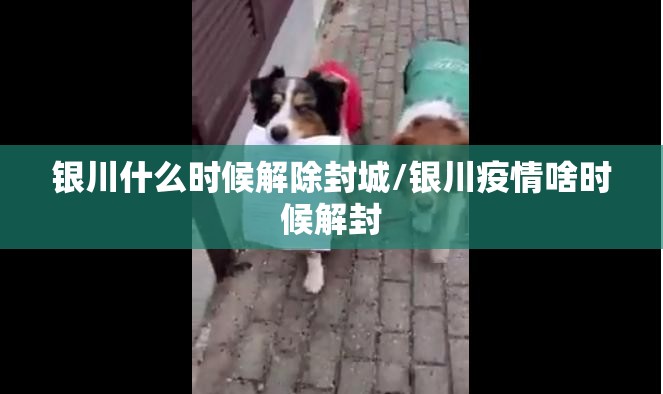 银川什么时候解除封城/银川疫情啥时候解封