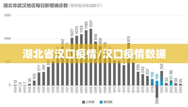 湖北省汉口疫情/汉口疫情数据