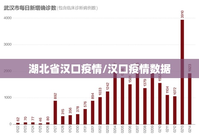 湖北省汉口疫情/汉口疫情数据