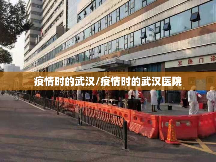 疫情时的武汉/疫情时的武汉医院