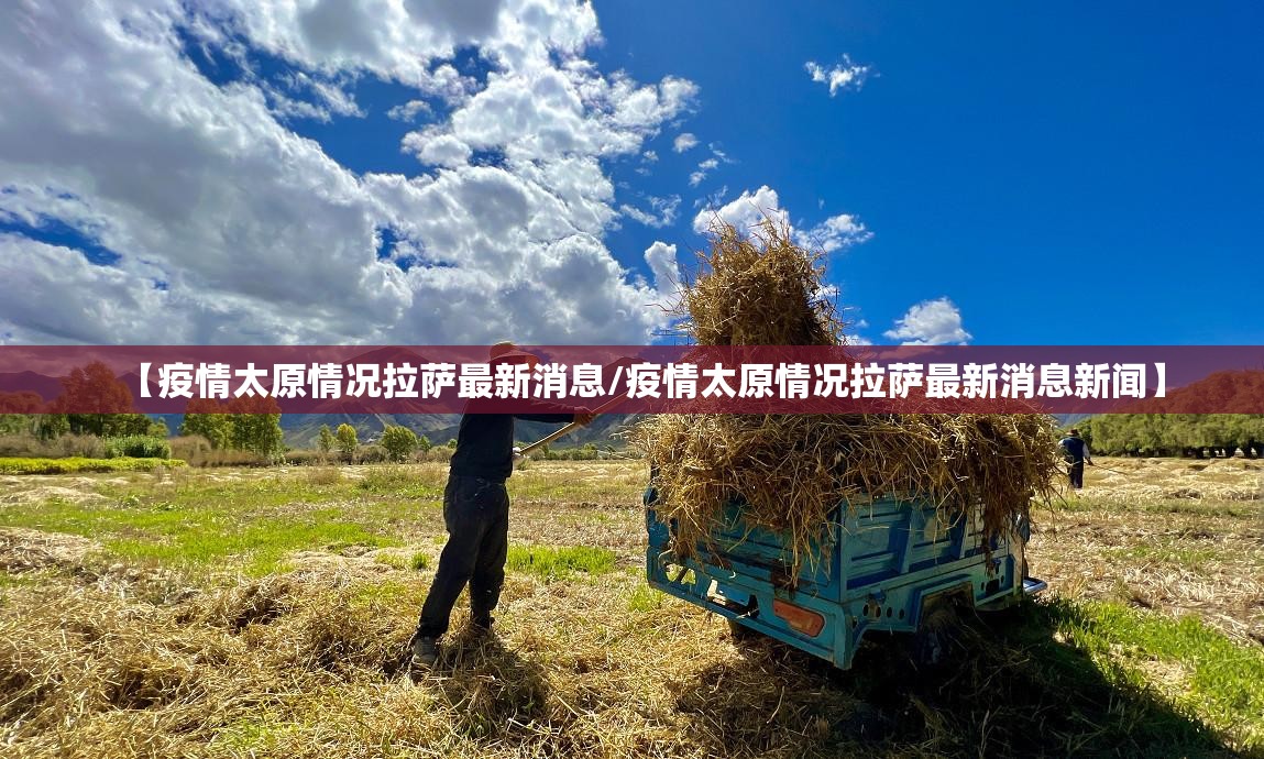 【疫情太原情况拉萨最新消息/疫情太原情况拉萨最新消息新闻】