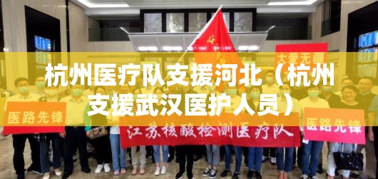 杭州医疗队支援河北（杭州支援武汉医护人员）