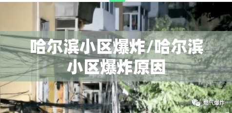 哈尔滨小区爆炸/哈尔滨小区爆炸原因