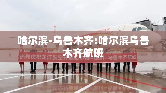 哈尔滨-乌鲁木齐:哈尔滨乌鲁木齐航班
