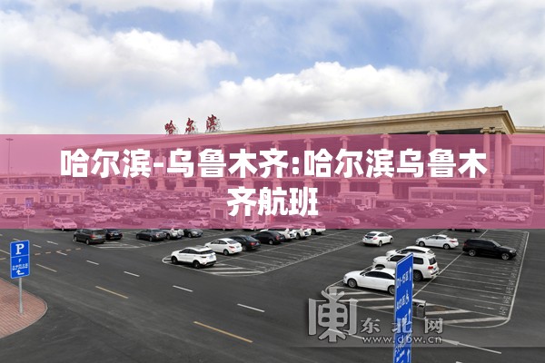 哈尔滨-乌鲁木齐:哈尔滨乌鲁木齐航班
