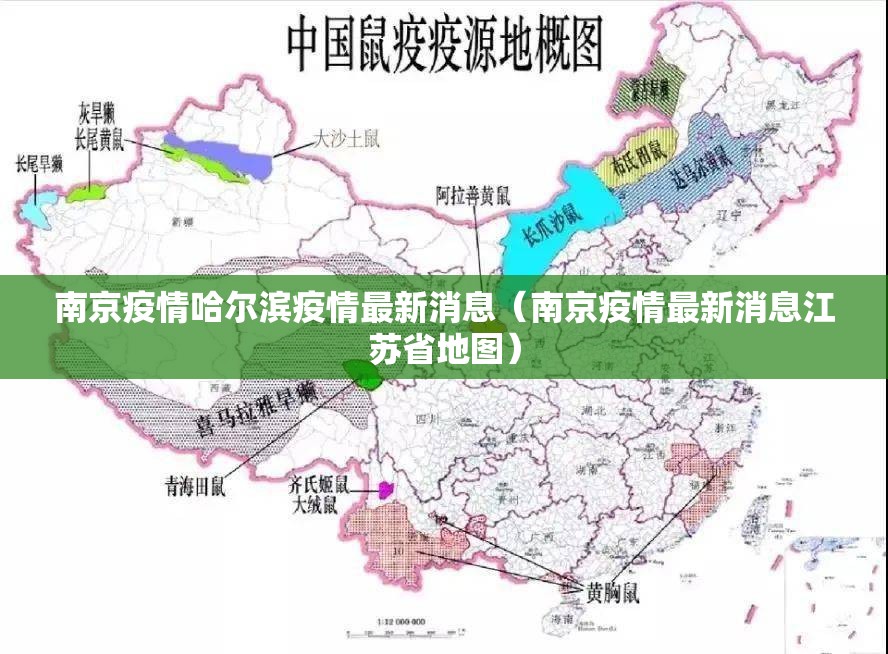 南京疫情哈尔滨疫情最新消息（南京疫情最新消息江苏省地图）