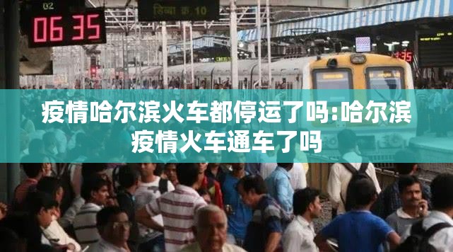 疫情哈尔滨火车都停运了吗:哈尔滨疫情火车通车了吗
