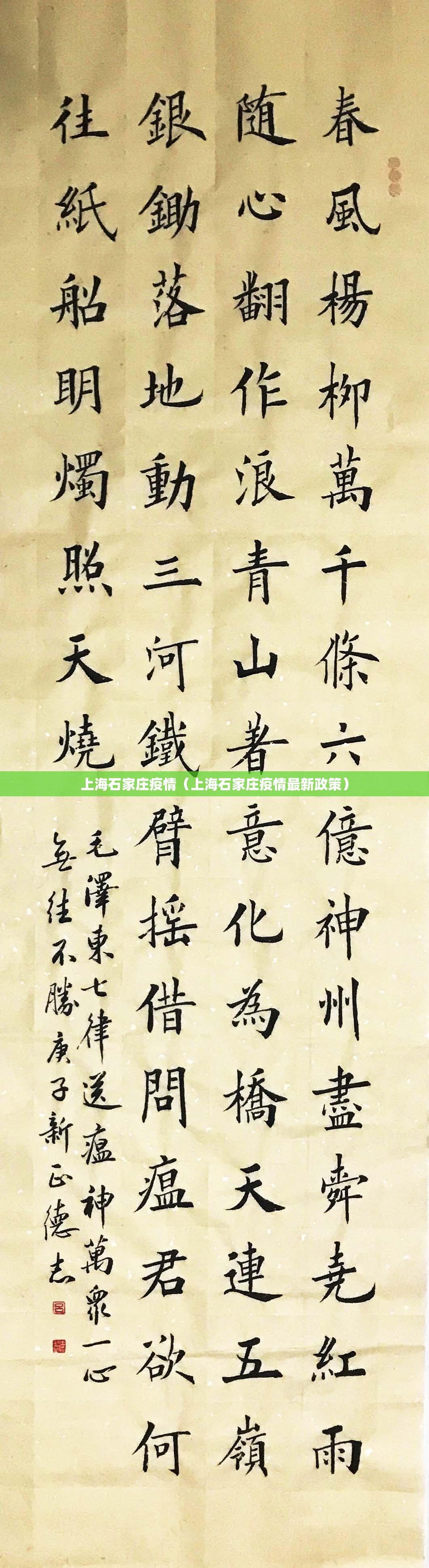 上海石家庄疫情（上海石家庄疫情最新政策）