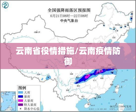 云南省役情措施/云南疫情防御