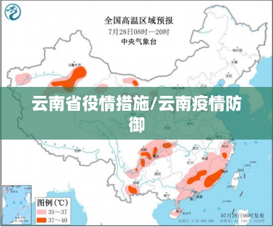 云南省役情措施/云南疫情防御