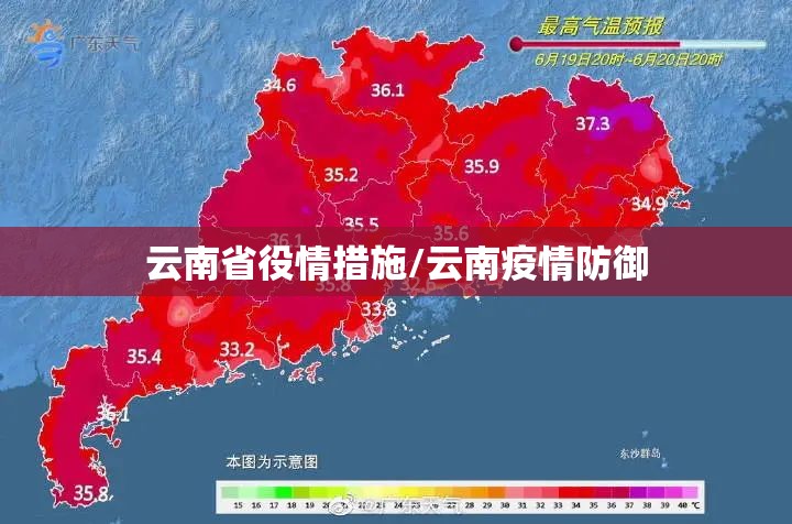 云南省役情措施/云南疫情防御