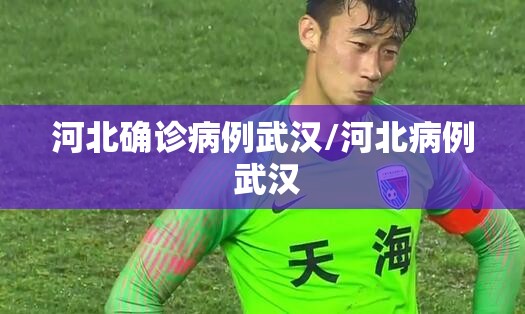 河北确诊病例武汉/河北病例 武汉