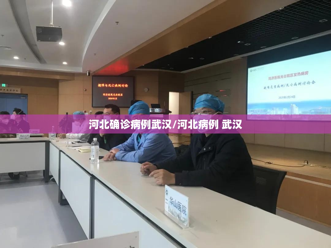 河北确诊病例武汉/河北病例 武汉