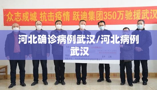 河北确诊病例武汉/河北病例 武汉