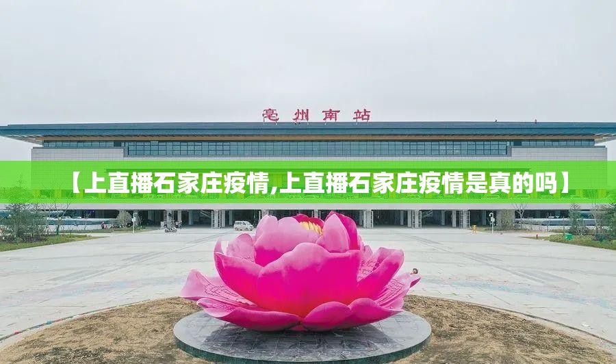 【上直播石家庄疫情,上直播石家庄疫情是真的吗】