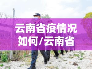 云南省疫情况如何/云南省疫情现在怎么样