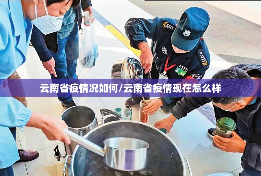 云南省疫情况如何/云南省疫情现在怎么样
