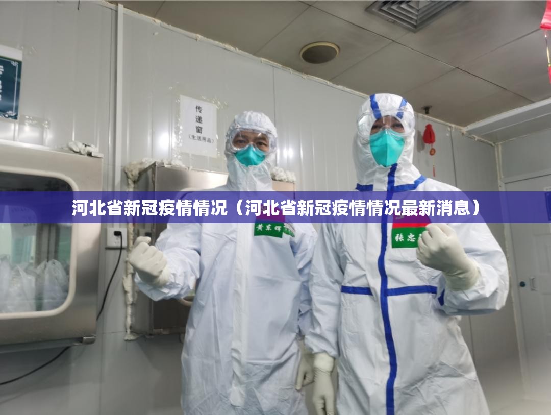 河北省新冠疫情情况（河北省新冠疫情情况最新消息）