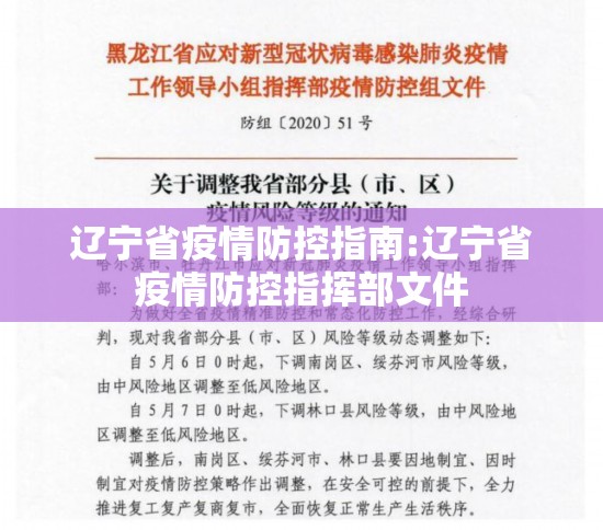 辽宁省疫情防控指南:辽宁省疫情防控指挥部文件