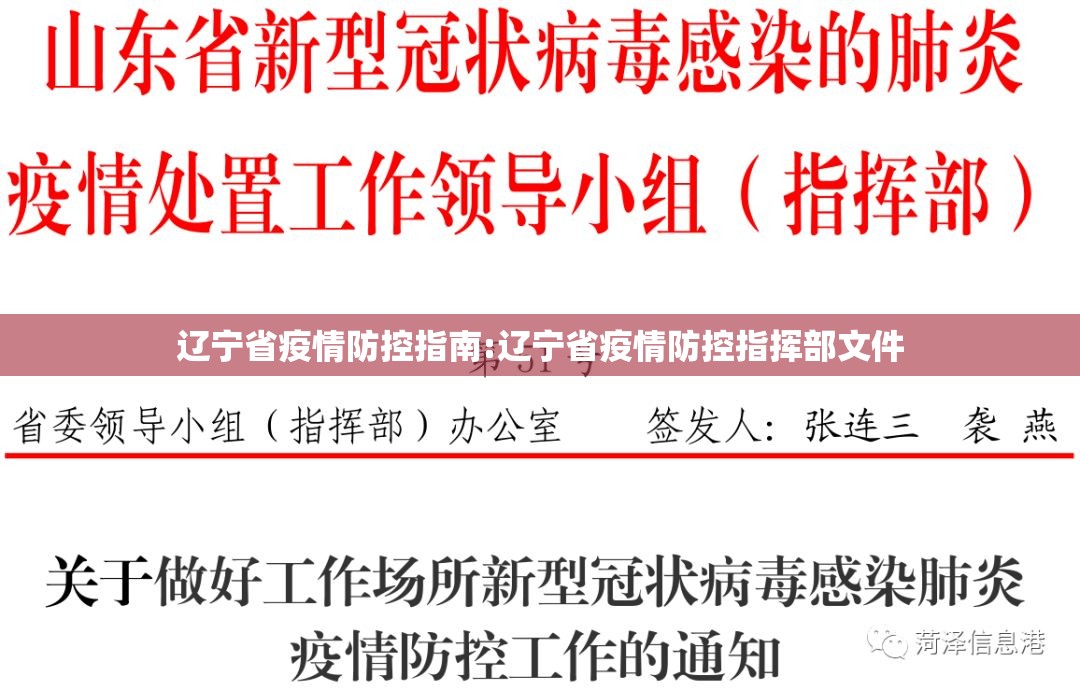 辽宁省疫情防控指南:辽宁省疫情防控指挥部文件