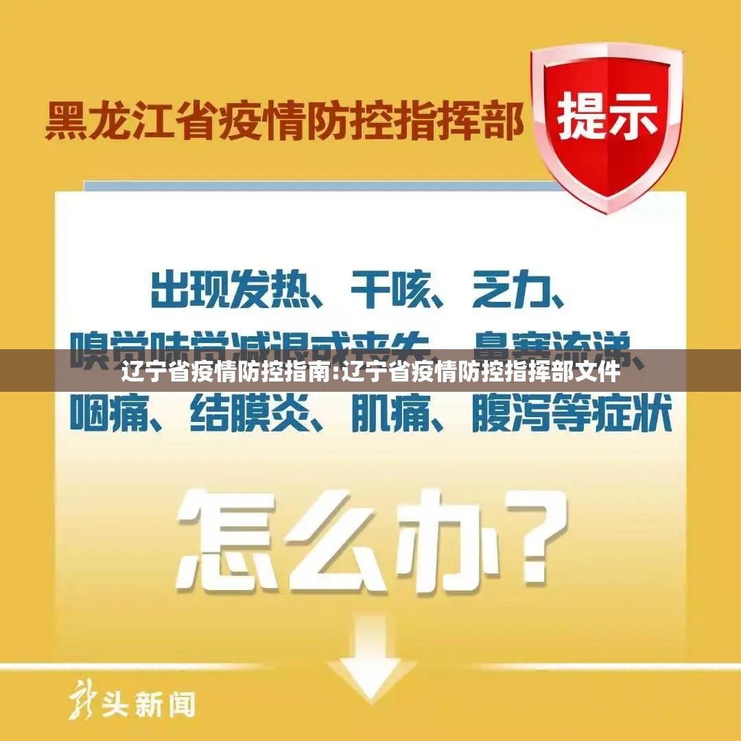 辽宁省疫情防控指南:辽宁省疫情防控指挥部文件
