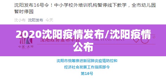 2020沈阳疫情发布/沈阳疫情公布