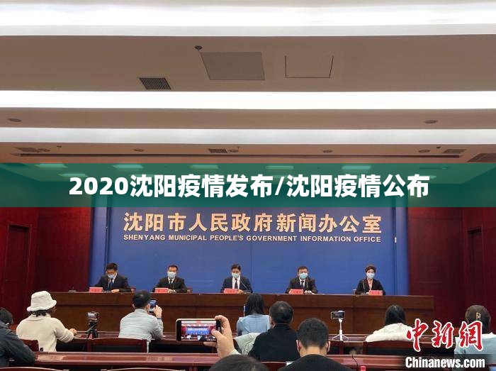 2020沈阳疫情发布/沈阳疫情公布