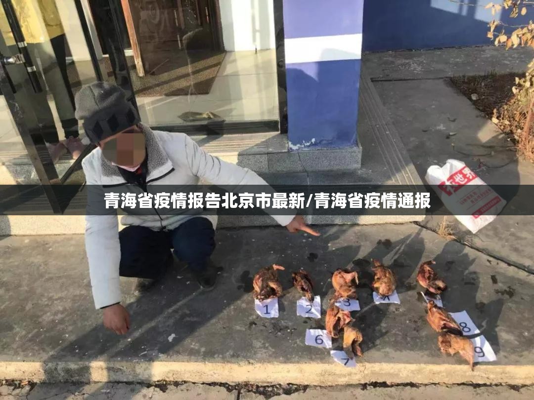 青海省疫情报告北京市最新/青海省疫情通报