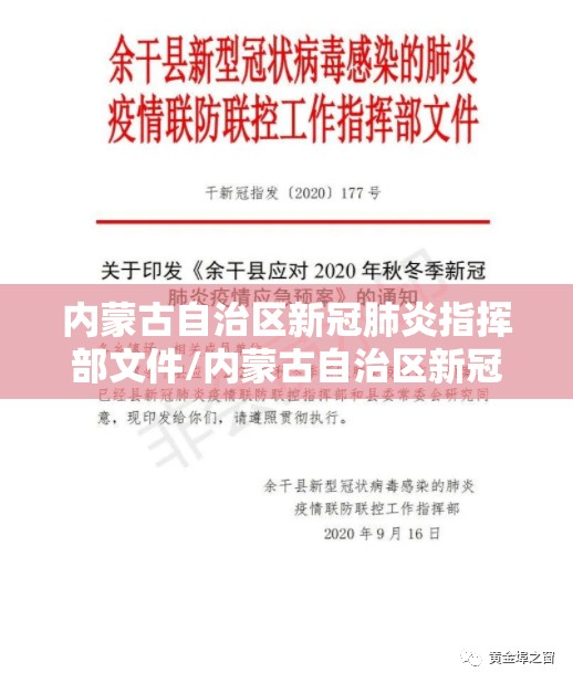 内蒙古自治区新冠肺炎指挥部文件/内蒙古自治区新冠肺炎应急预案
