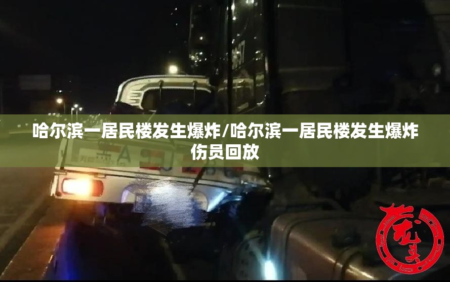 哈尔滨一居民楼发生爆炸/哈尔滨一居民楼发生爆炸伤员回放