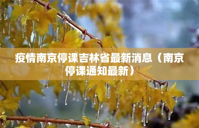 疫情南京停课吉林省最新消息（南京停课通知最新）