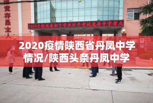 2020疫情陕西省丹凤中学情况/陕西头条丹凤中学