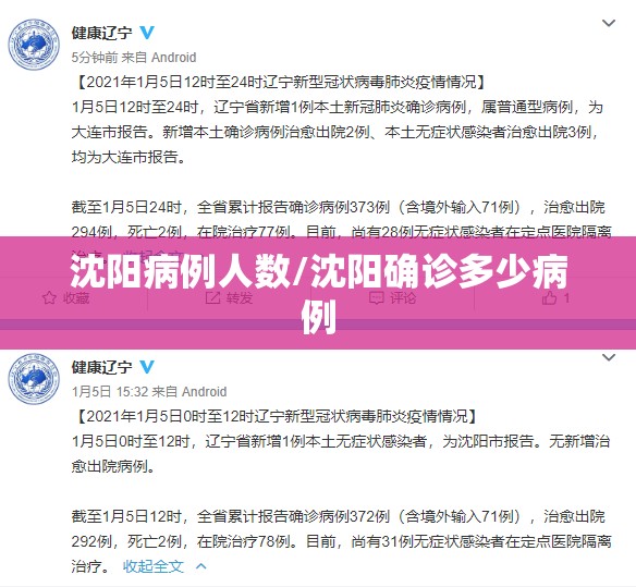 沈阳病例人数/沈阳确诊多少病例