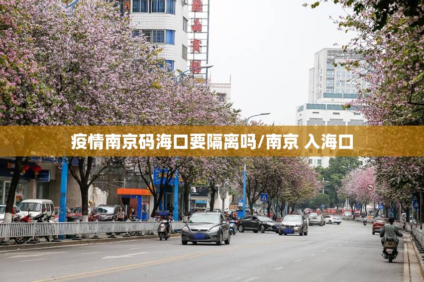 疫情南京码海口要隔离吗/南京 入海口