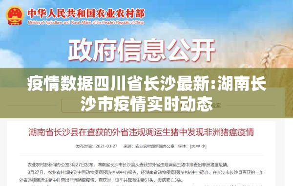 疫情数据四川省长沙最新:湖南长沙市疫情实时动态
