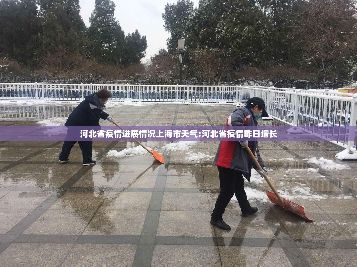 河北省疫情进展情况上海市天气:河北省疫情昨日增长