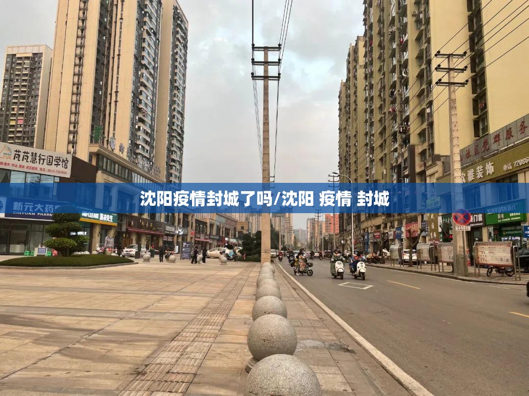 沈阳疫情封城了吗/沈阳 疫情 封城