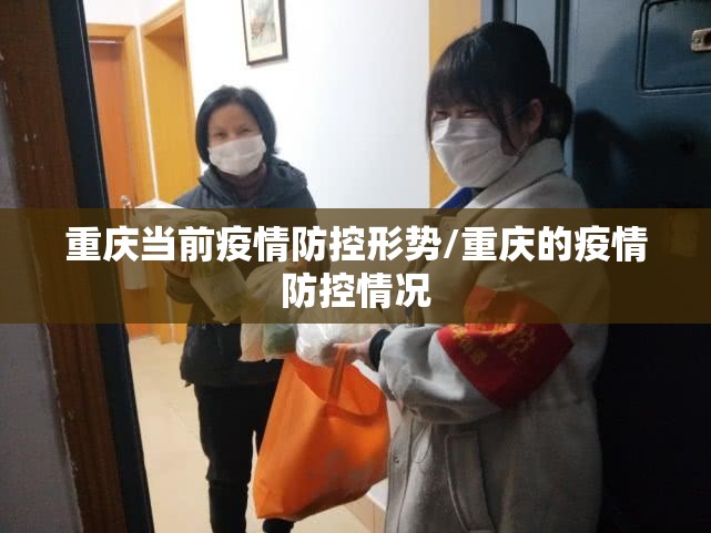 重庆当前疫情防控形势/重庆的疫情防控情况