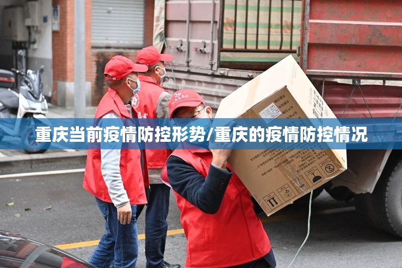 重庆当前疫情防控形势/重庆的疫情防控情况