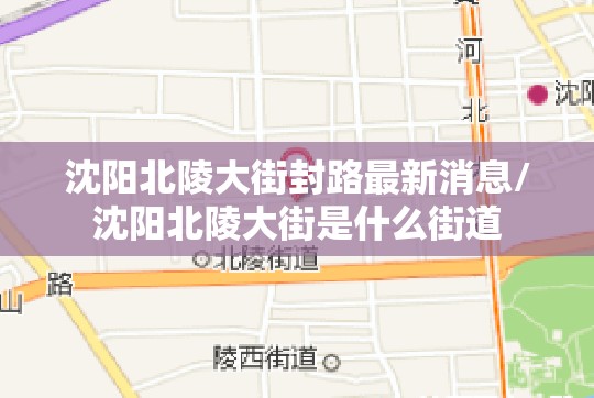 沈阳北陵大街封路最新消息/沈阳北陵大街是什么街道