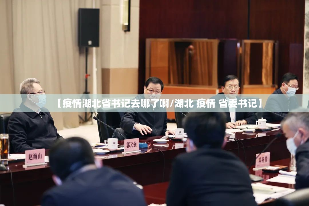 【疫情湖北省书记去哪了啊/湖北 疫情 省委书记】