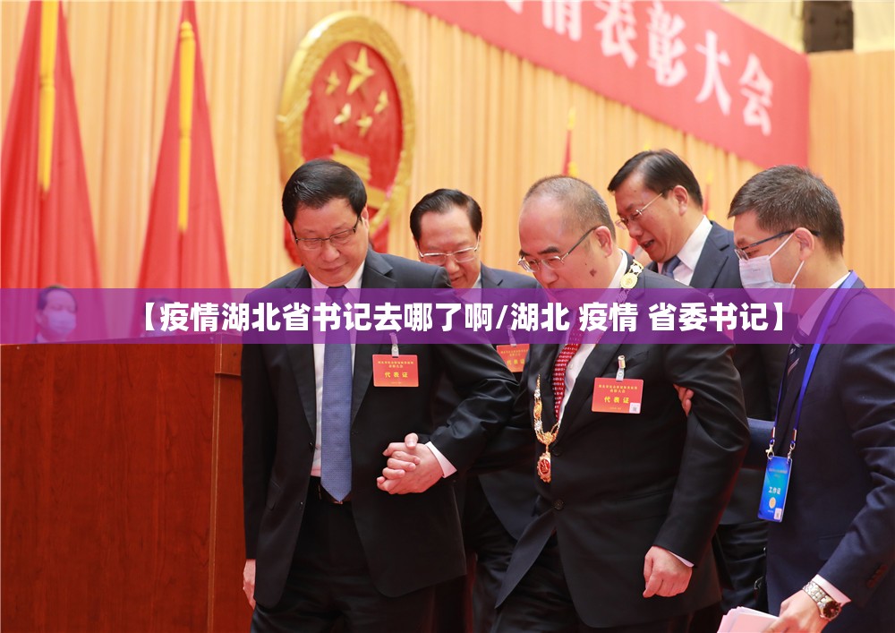 【疫情湖北省书记去哪了啊/湖北 疫情 省委书记】