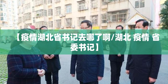 【疫情湖北省书记去哪了啊/湖北 疫情 省委书记】