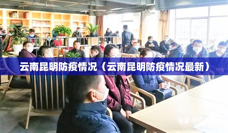 云南昆明防疫情况（云南昆明防疫情况最新）