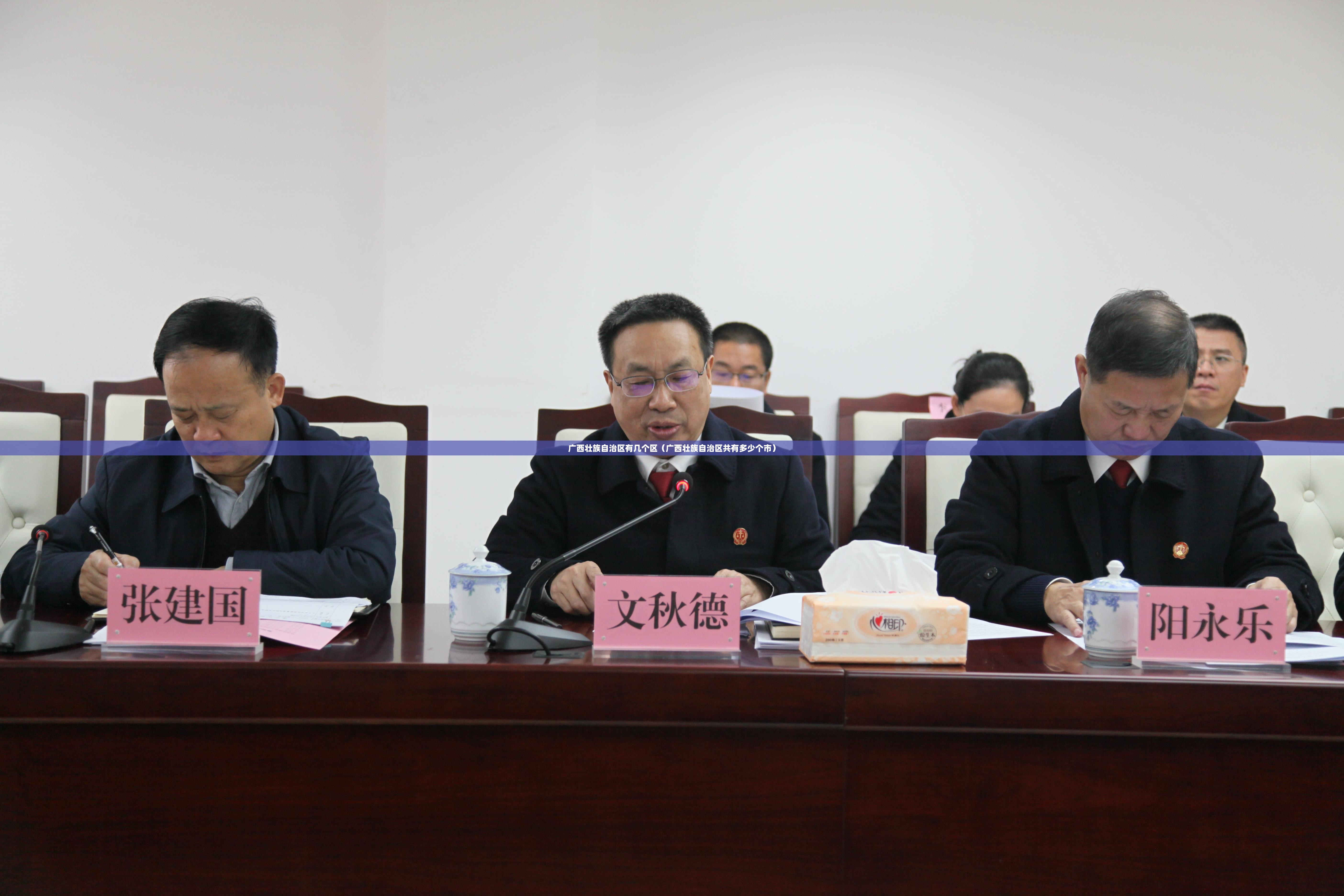 广西壮族自治区有几个区（广西壮族自治区共有多少个市）