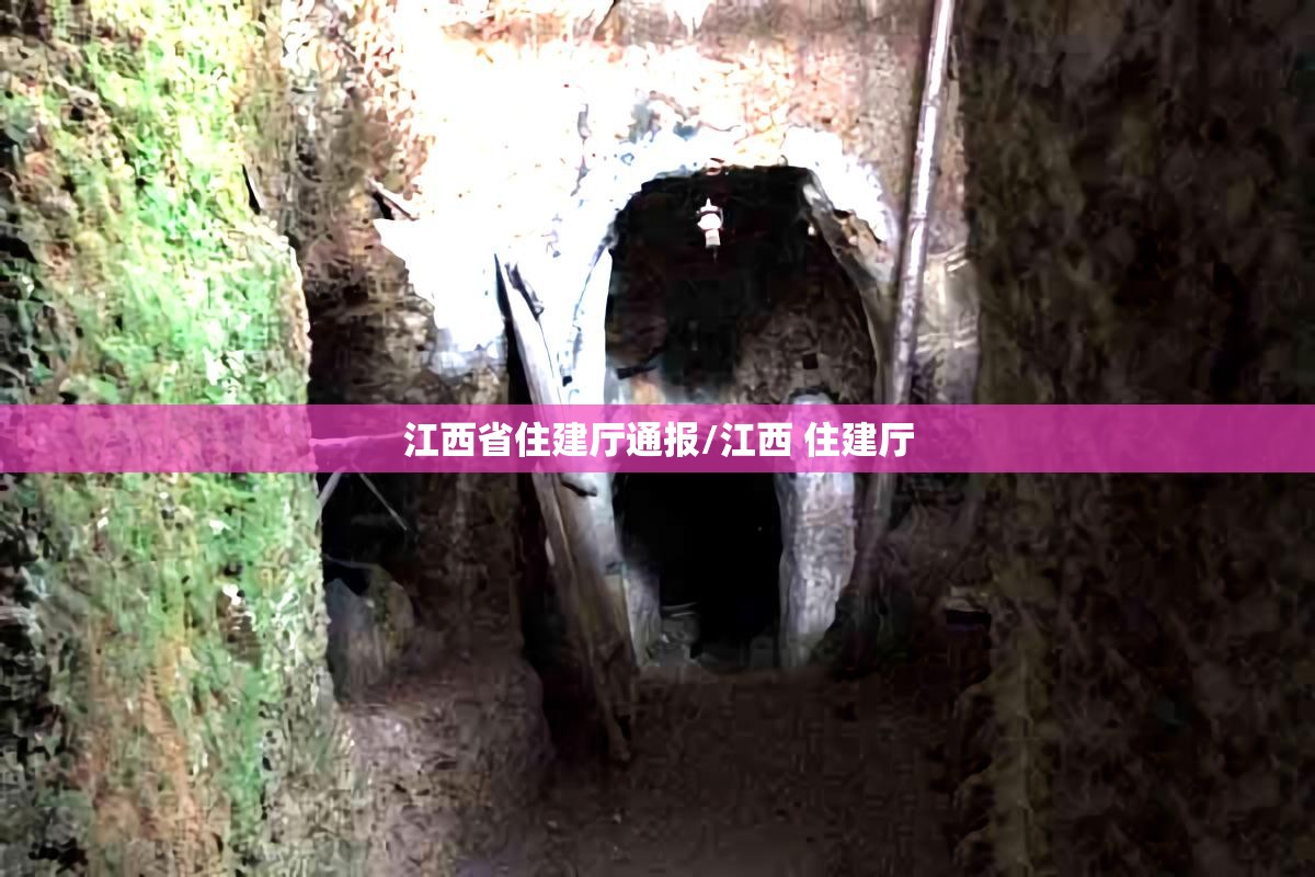 江西省住建厅通报/江西 住建厅
