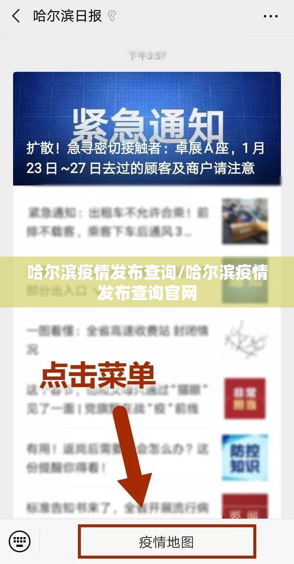哈尔滨疫情发布查询/哈尔滨疫情发布查询官网